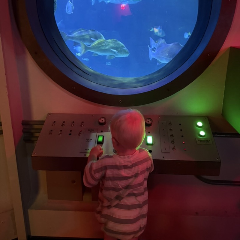Aquarium days