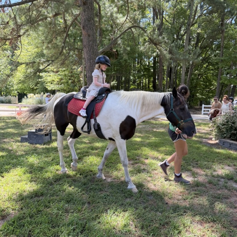 Pony rides